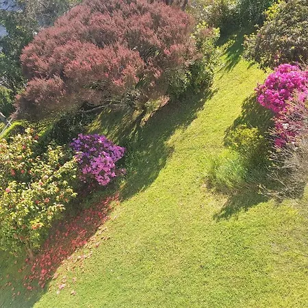 Casa Con Jardin A 200 Metros Playa De Areas En Daire Sanxenxo
