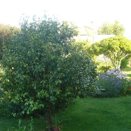 Daire Casa Con Jardin A 200 Metros Playa De Areas En *
